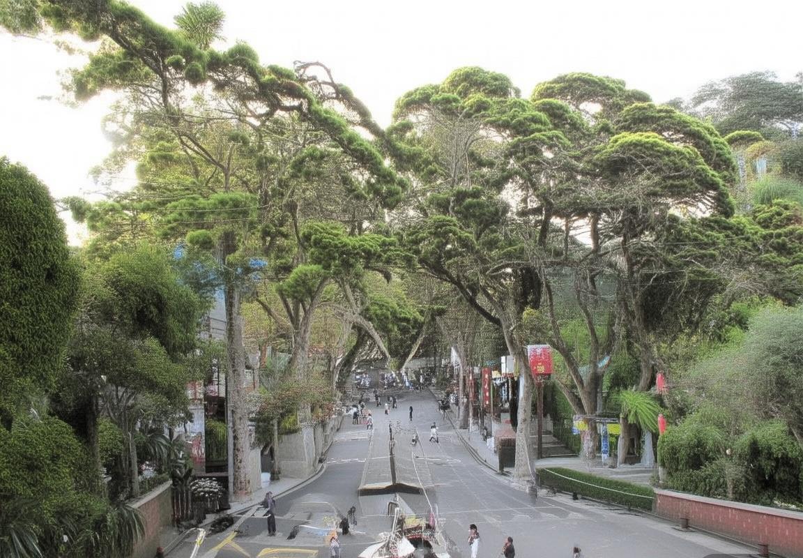 多姆丸vs乌法：激战分析，实力对决与心理博弈(图2)